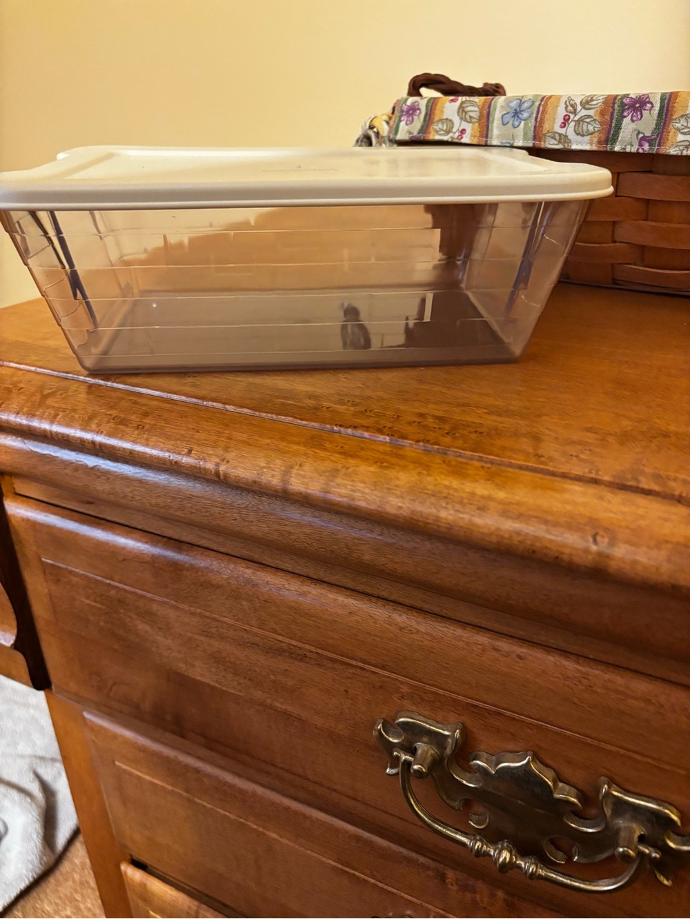 Longaberger Small Serving Basket w/Botanical Fields liner and Lidded protector - Picture 3 of 4